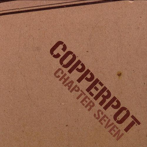Copperpot05500